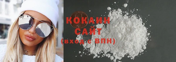 гашик Краснослободск