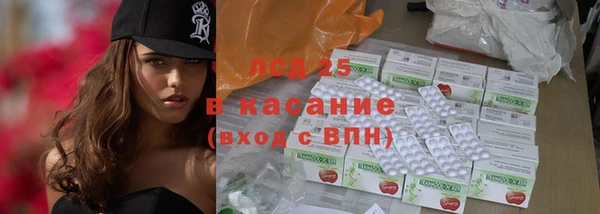 гашик Краснослободск