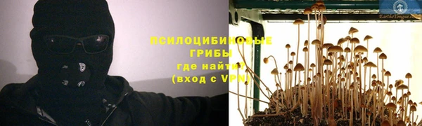 стаф Красноперекопск