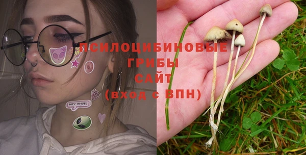 гашик Краснослободск