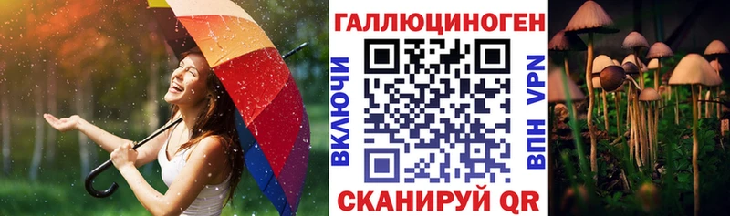 Галлюциногенные грибы GOLDEN TEACHER  Купить  Березники 